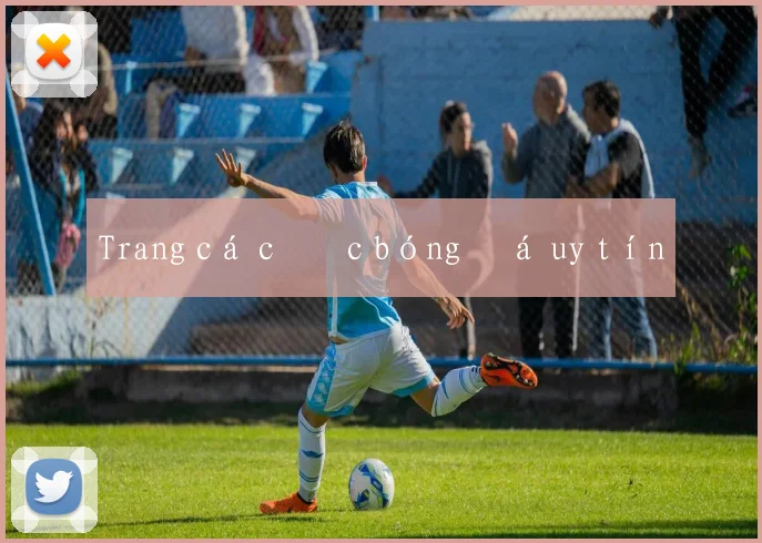 Trang cá cược bóng đá uy tín