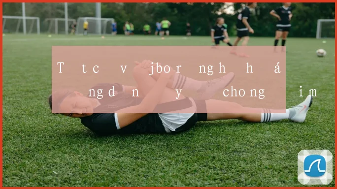 Tất cả về jbo rồng hổ hướng dẫn đầy đủ cho người mới
